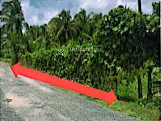 Bán đất mỹ cẩm, càng long, trà vinh, 1,65 tỷ, 5292,3 m2, giá tốt, đẹp, nhiều tiện ích