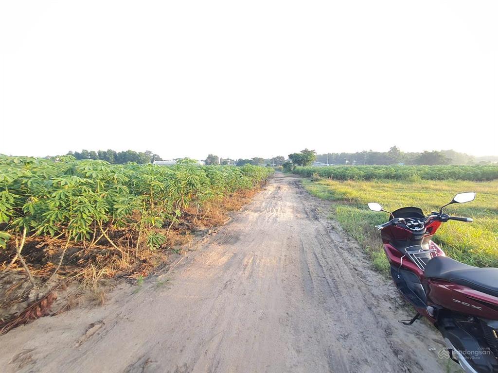 Chủ cần bán lô đất ở vuông vức ngang 15.2mx66.5m đường ô tô 1 sẹc vành đai 3, full hồng giá tốt