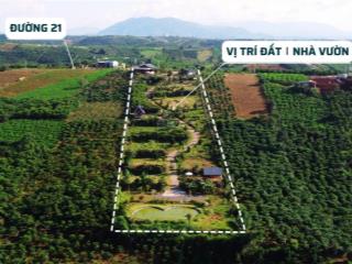 Cần bán khu nghỉ dưỡng liền kề kiwuki, hồ đảo voi, lộc tân, bảo lâm