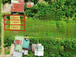 Bán đất tại âu cơ, 400 triệu, 150 m2, giá tốt, q. bảo lâm, lâm đồng