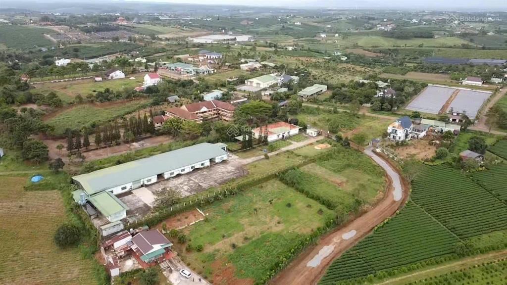 Bán đất lý thái tổ, đam bri, bảo lộc, lâm đồng, 2,2 tỷ, 530m2