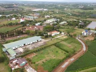 Bán đất lý thái tổ, đam bri, bảo lộc, lâm đồng, 2,2 tỷ, 530m2