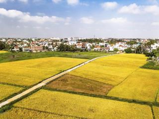 Mặt tiền hậu view lúa trần nhân tông
