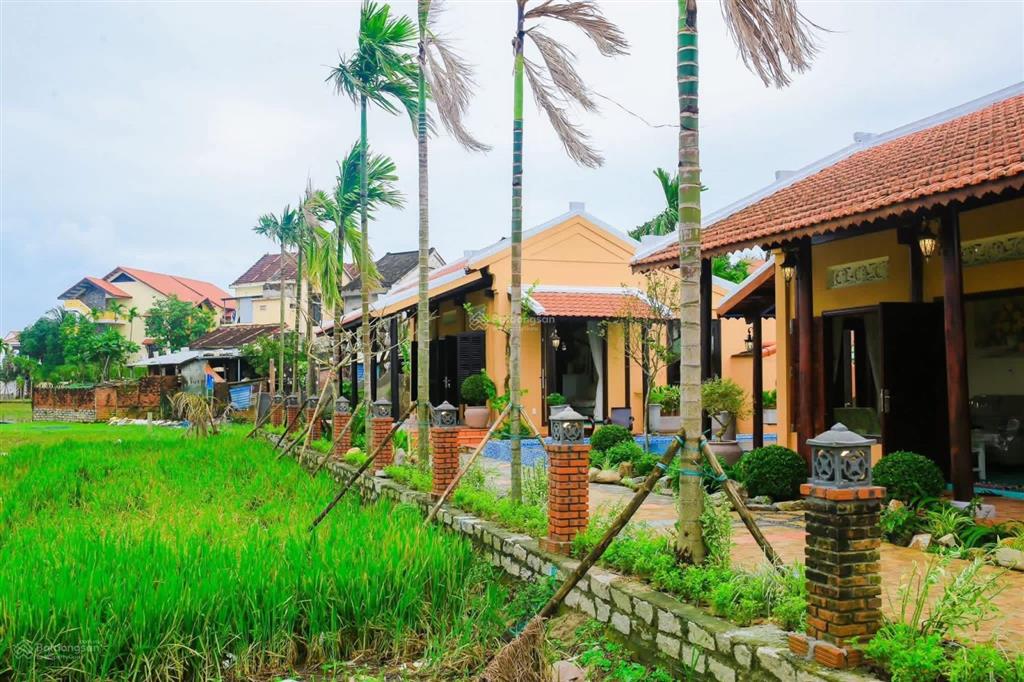 Villa view lúa trực diện cẩm châu