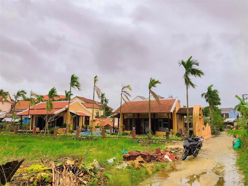 Villa view lúa trực diện cẩm châu