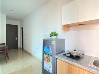 Chính chủ cho thuê ccmn 1n1k, 40m2 tại ngõ 445 lạc long quân, tây hồ