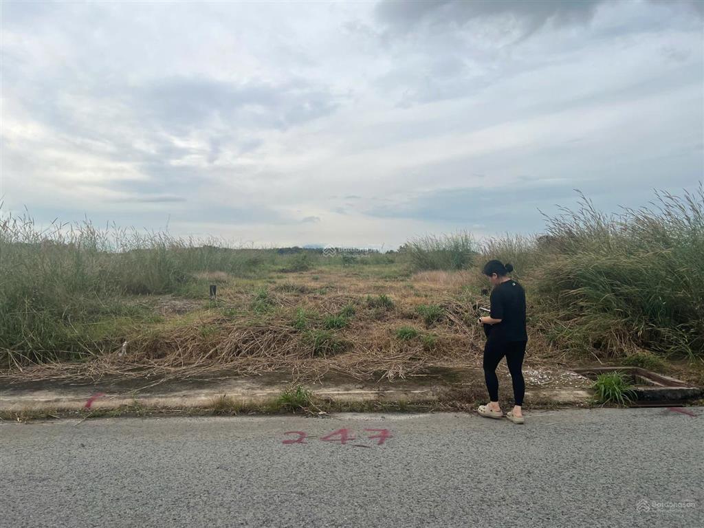 Chính chủ bán đất tại bàu đồn  giồ đầu, tây ninh giá chỉ 620 triệu  0979 913 ***