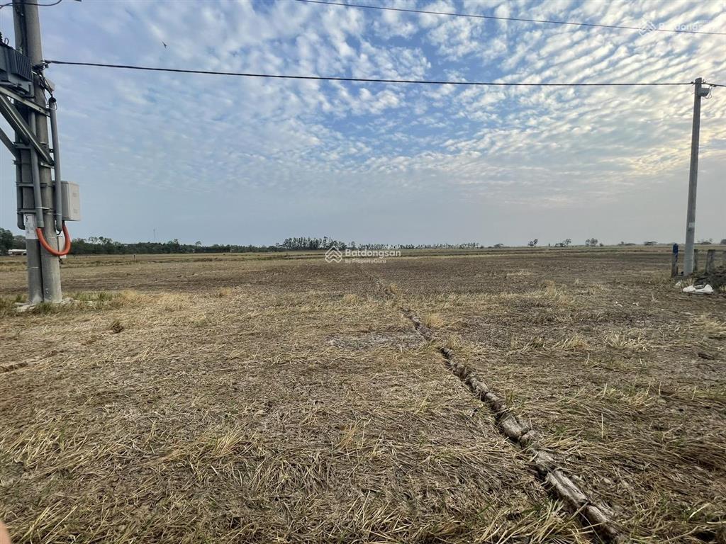 Có 300 mét vuông thổ cư, đất gần khu công nghiệp trần đề, gần siêu cảng nước sâu trần đề, sóc trăng