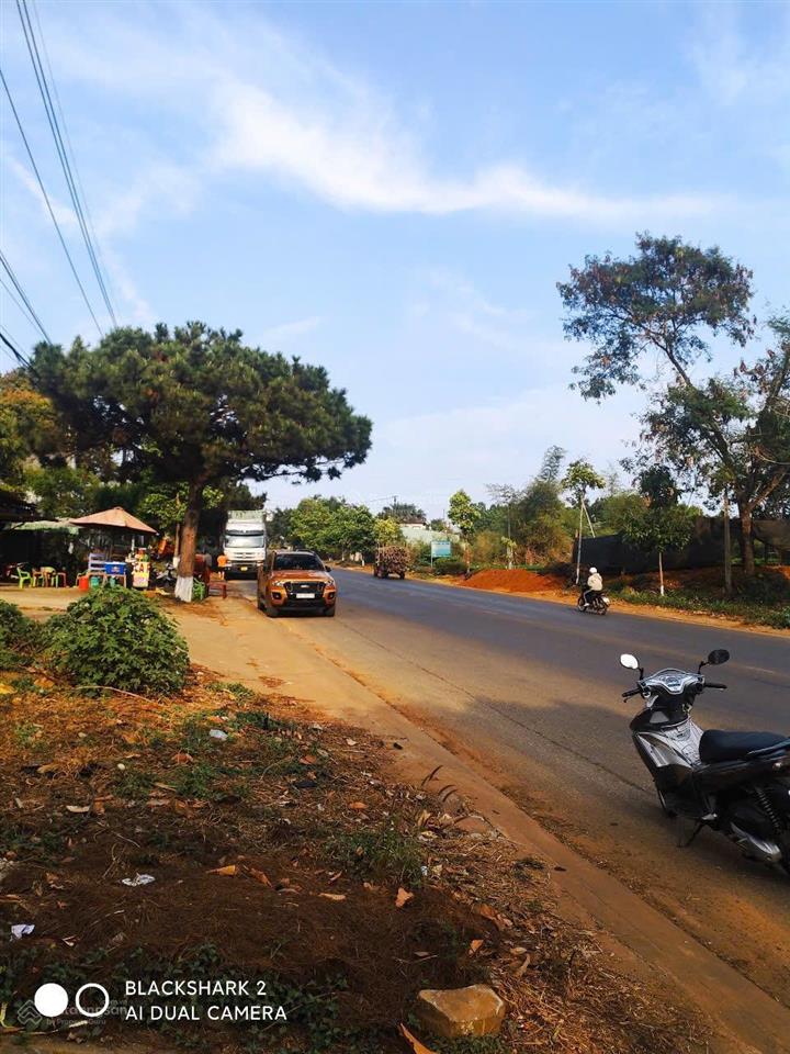 Bán nhà mặt phố hướng đôngnam. mt ngang 15m. view rừng thông tuyệt đẹp, không khí trong lành