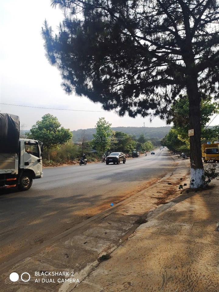 Bán nhà mặt phố hướng đôngnam. mt ngang 15m. view rừng thông tuyệt đẹp, không khí trong lành