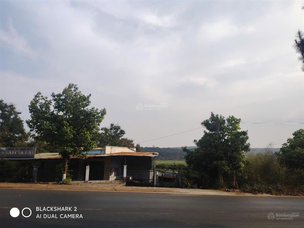 Bán nhà mặt phố hướng đôngnam. mt ngang 15m. view rừng thông tuyệt đẹp, không khí trong lành