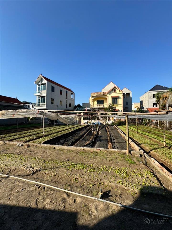 Bán đất xã thư phú thường tín diện tích ~57m² | mặt tiền 5m ngõ rộng oto vào tận nơi giá 2 tỷ 490