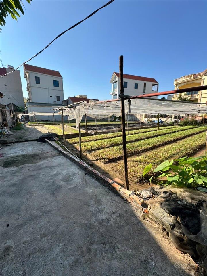 Bán đất xã thư phú thường tín diện tích ~57m² | mặt tiền 5m ngõ rộng oto vào tận nơi giá 2 tỷ 490
