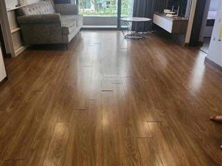 Cho thuê căn hộ 2 ngủ tại chung cư the zei full đồ mới tinh ở ngay, diện tích 74m2