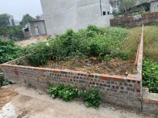 Chính chủ bán 46m2 đất bắc hồng, đông anh, đường thông ô tô, giá nhô 3 tỷ