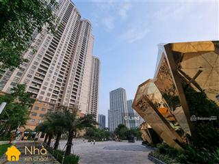 Chuyên cho thuê nhà tại d'capitale  cập nhật mới tháng 05/2026. hỗ trợ thủ tục nhanh gọn