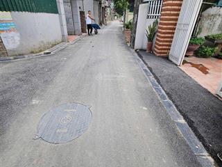 Đường thái bình mai lâm đông anh đất 11tỷ
