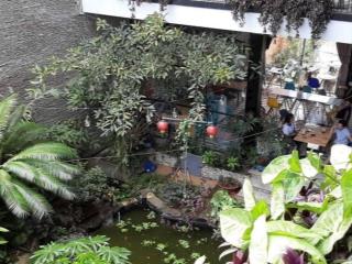 Cho thuê mặt bằng kinh doanh tại kiến đức vị trí đắc địa, tiềm năng sinh lời vượt trội!