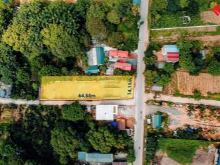 Bán đất chợ long phú, thắng đầu, quốc oai | lô đẹp 1.000m2, giá đầu tư cực tốt