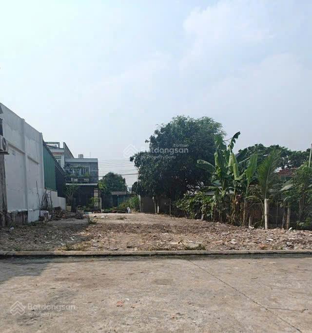 Cực hiếm 500m² (11x48m) giá 12 tr/m gần cầu phú cường phố đi bộ bạch đằng
