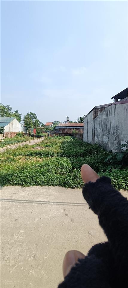 Bán đất 280m2 tại xã tân minh, sóc sơn, hà nội, giá 3,65 tỷ