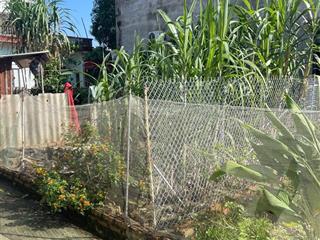 Bán đất xã hiền ninh, 1,61 tỷ, 40m2, mặt tiền 5.2m, ngõ rộng 4m, pháp lý đầy đủ