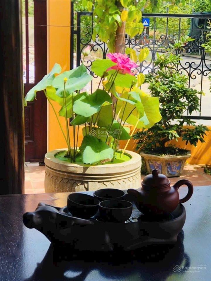 Bán nhà sân vườn kiểu cổ điển đường vân đài nữ sĩ, ngũ hành sơn