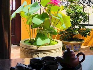 Bán nhà sân vườn kiểu cổ điển đường vân đài nữ sĩ, ngũ hành sơn