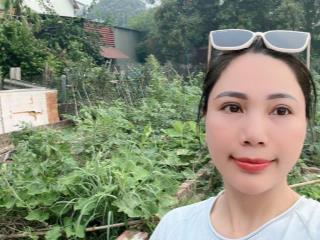 Chủ cần tiền mót bán vụ bản minh trí sóc sơn đường đẹp oto tránh giá đầu tư tốt