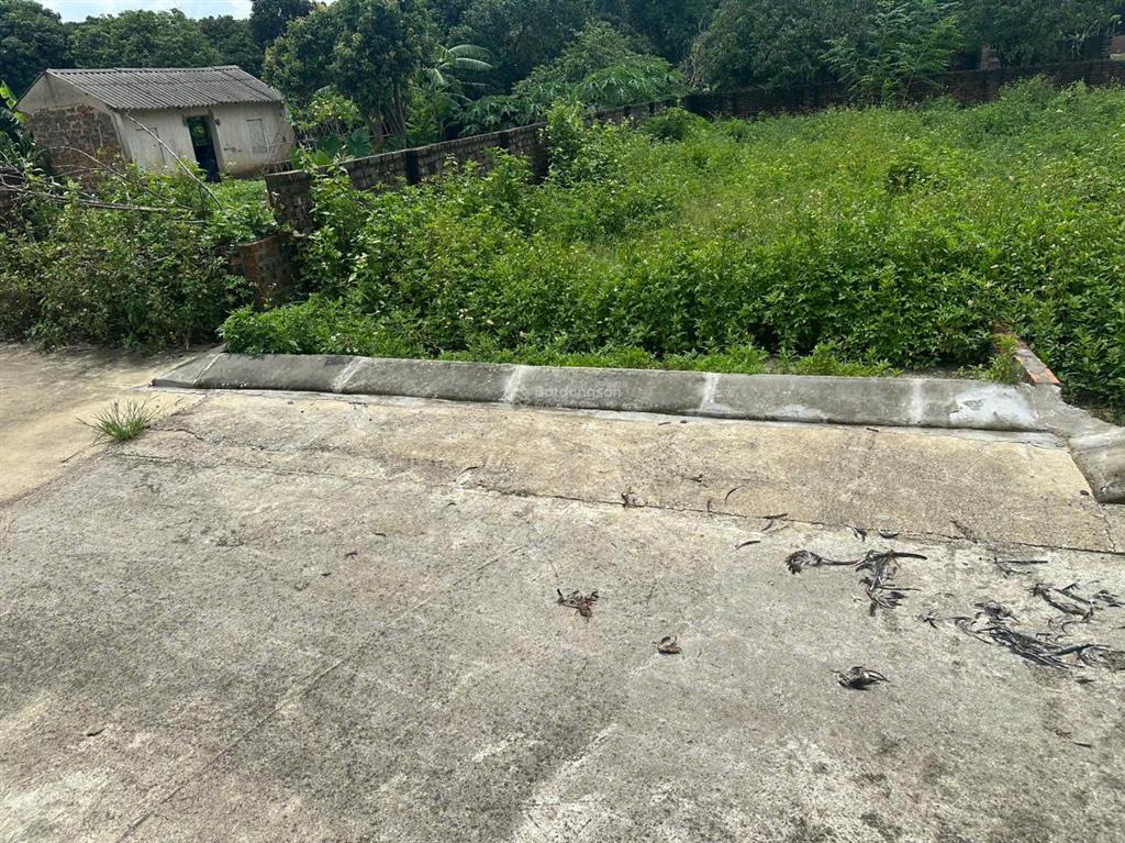 Hot đất phú nghĩa 111m² ô tô vào tận nơi chỉ 1,95 tỷ