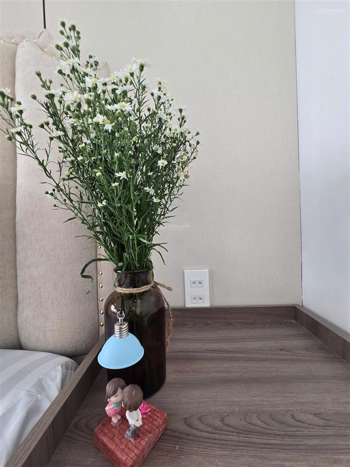 Hệ thống ch nhà bè, full nt, máy giặt, hút mùi, tủ lạnh, tiện đi đh rmit, tdtu, lotte, aeon, q7, q1