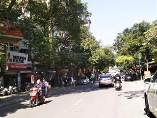 Bán nhà 5 tầng võ thị sáu, 56m2, giá 15.7 tỷ