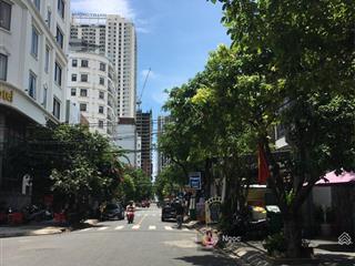 Siêu phẩm căn hộ 5 tầng đường phan tônvị trí vàng đầu tư sinh lời caodòng tiền 50tr/thfull khách