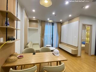 Duy nhất căn hộ 1pn+ diện tích 48,6m2 đã hoàn thiện nội thất cao cấp,tầng cao view pháo hoa giá tốt