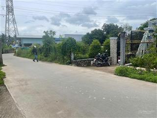 Bán mảnh đất thổ siêu hot 600m2 quốc lộ 1a  hưng long  bình chánh 9.99 tỷ, shr  xd tự do