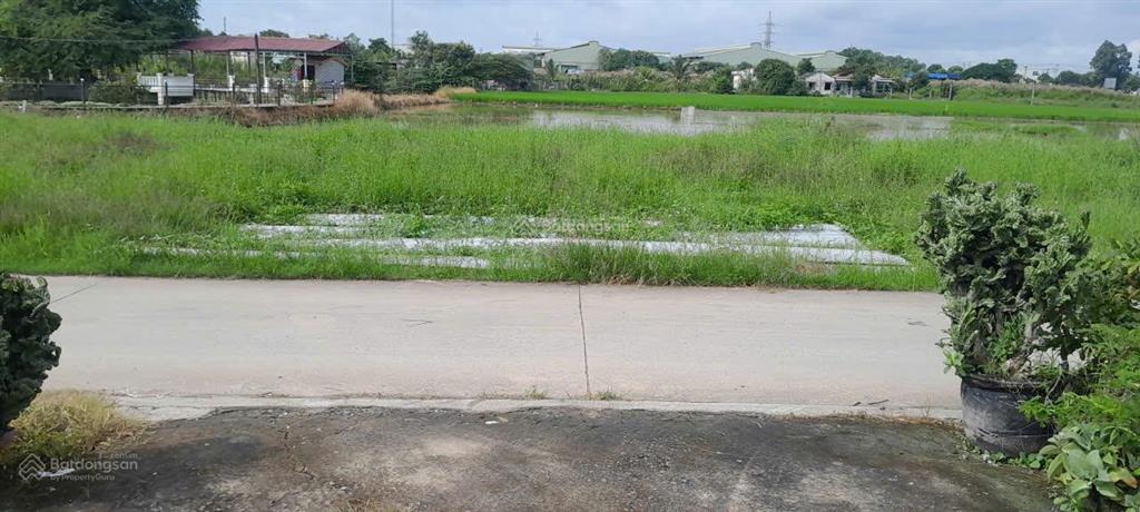 Bán nhanh đất bến lức  cách ql1a 300m  1.288m2 (53x25)  full thổ cư  giá 13 triệu/m2, shr