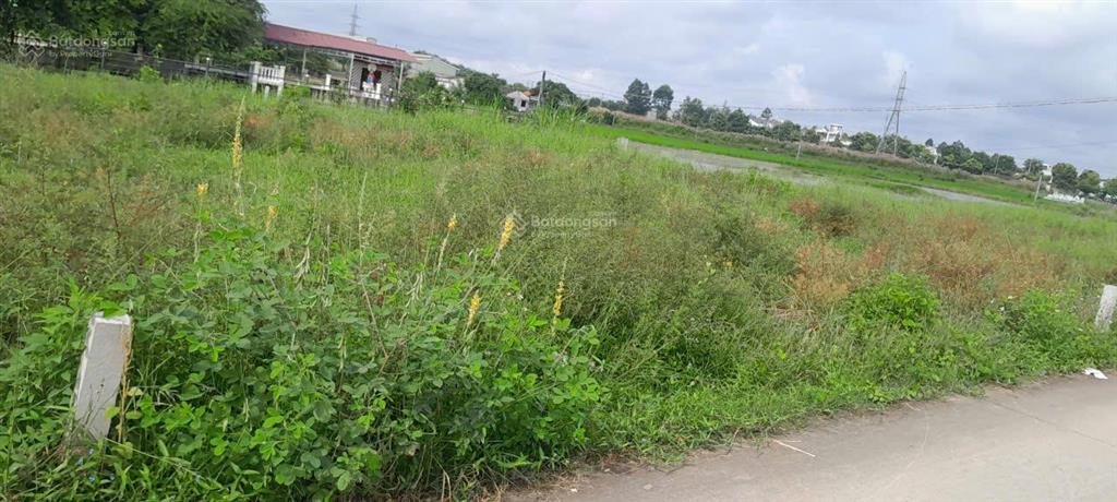 Bán nhanh đất bến lức  cách ql1a 300m  1.288m2 (53x25)  full thổ cư  giá 13 triệu/m2, shr