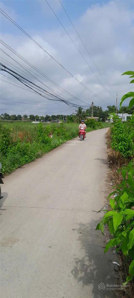 Bán nhanh đất bến lức  cách ql1a 300m  1.288m2 (53x25)  full thổ cư  giá 13 triệu/m2, shr