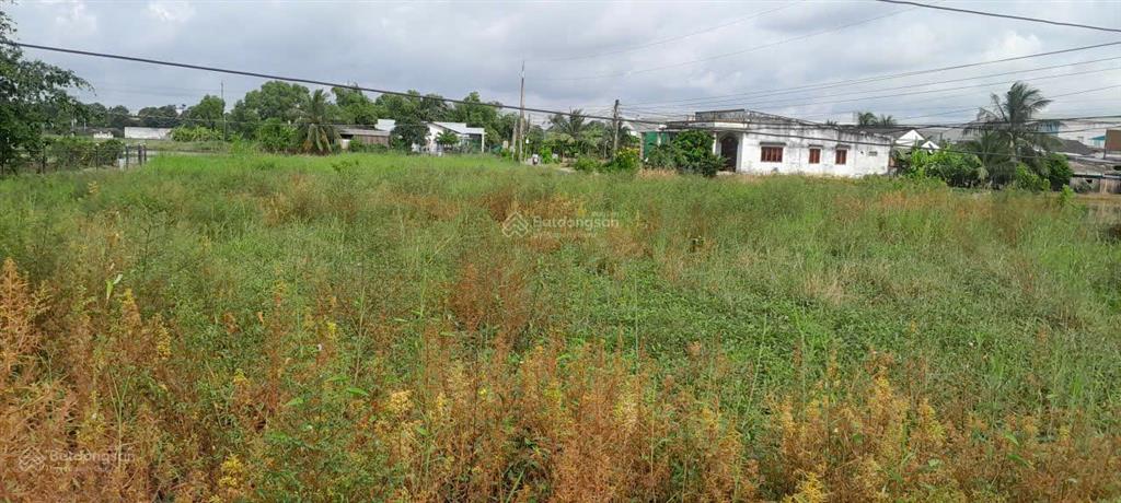 Bán nhanh đất bến lức  cách ql1a 300m  1.288m2 (53x25)  full thổ cư  giá 13 triệu/m2, shr