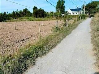 Chính chủ đứng bán 1.045m2 đất lúa + 203m2 thổ cư kp9, tt bến lức, shr, giá 4 tỷ