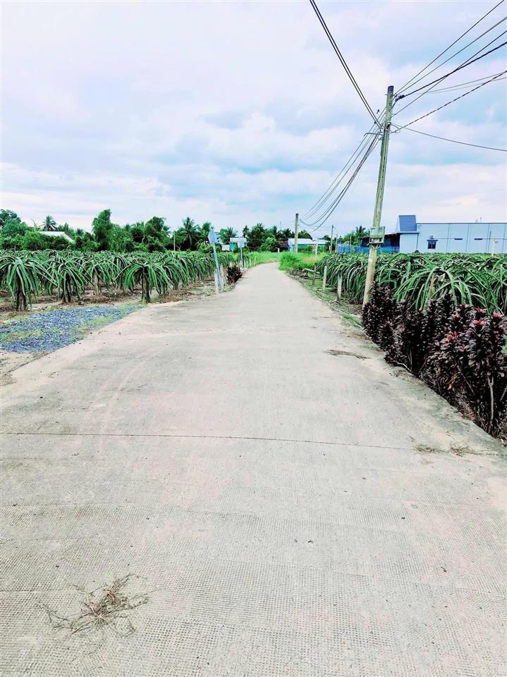 Bán đất 115m² full thổ cư  ấp 3 nhựt chánh, bến lức (cũ), 900 triệu  0931 778 ***