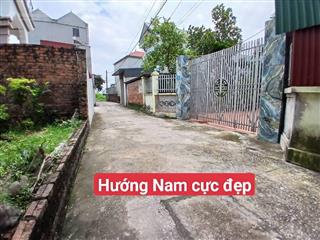 Lô hoa hậu tại hương đình  mai đình  sóc sơn