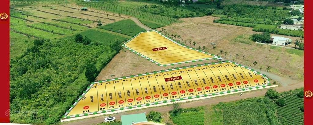 Bán đất bảo lâm lộc tân giá rẻ, cơ hội đầu tư sinh lời cực mạnh