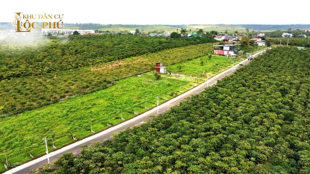Bán đất bảo lâm, lộc phú giá rẻ, cơ hội đầu tư sinh lời siêu lợi nhuận