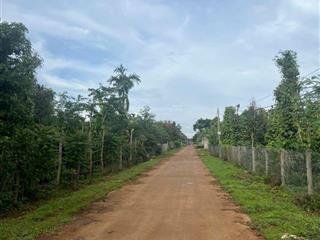 Đi nhanh đất nông nghiệp, trồng nhiều cây lâu năm sale mạnh
