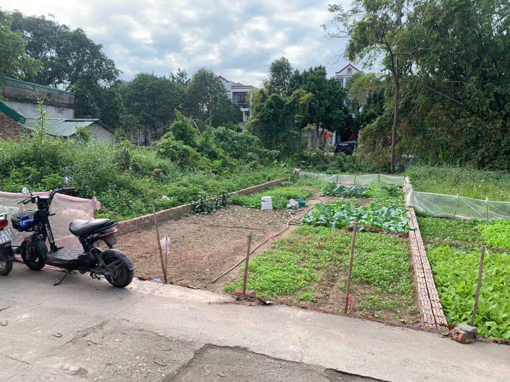 HIẾM-  BÁN GẤP 106M2- MT5M- PHƯỜNG SONG LIỄU- THUẬN THÀNH- TRỤC CHÍNH- GIÁ 3X TỶ.