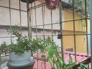 Tập thể đường láng chính chủ tập thể nguyên bản 4 lên 5 diện tích 17m2 sử dụng 120m2