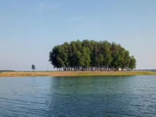 Cần bán mảnh vườn đẹp, không khí trong lành, vị trí cực kỳ tiềm năng, gần quốc lộ 20