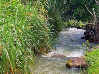 Đất vườn giá rẻ sẵn vườn trái cây đẹp thuộc xã la ngà, định quán, đồng nai