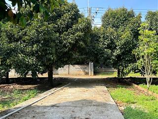 Cần bán gấp đất full thổ cư tại trung tâm dầu giây giá bán 775 triệu